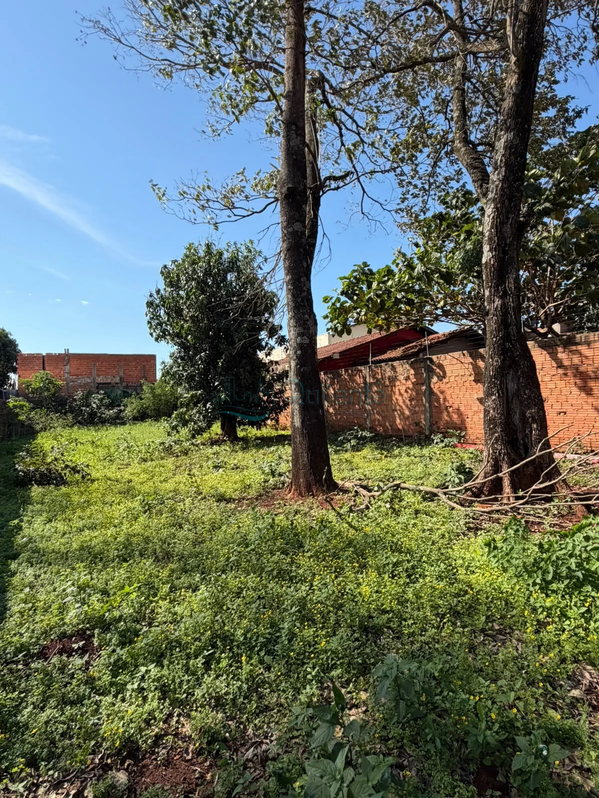 Foto da Vende-se terreno no bairro Campos do Iguaçu