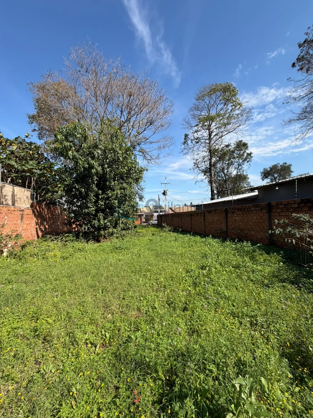 Foto da Vende-se terreno no bairro Campos do Iguaçu