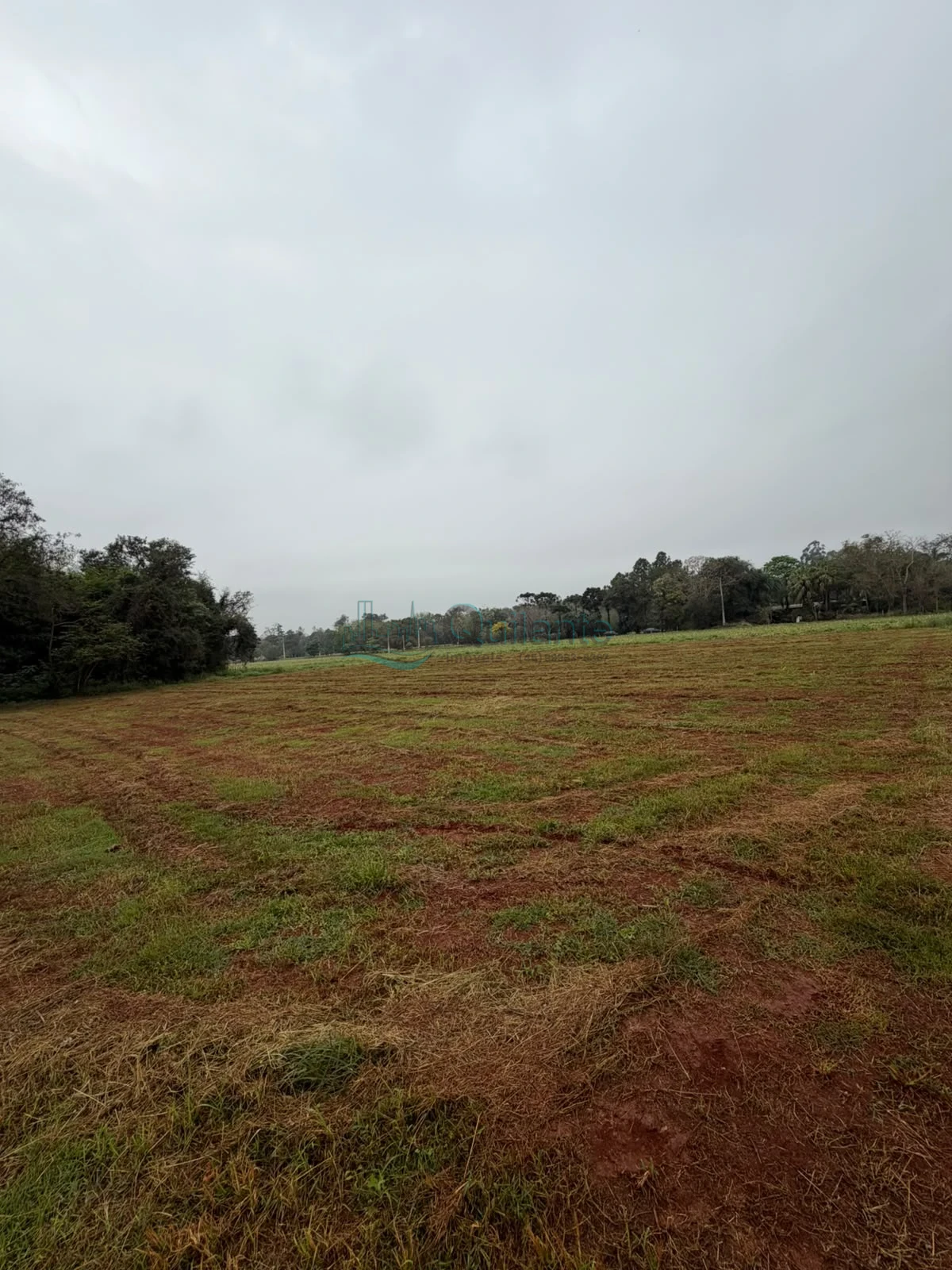 Foto da Vende-se chácara próxima a Avenida das Cataratas